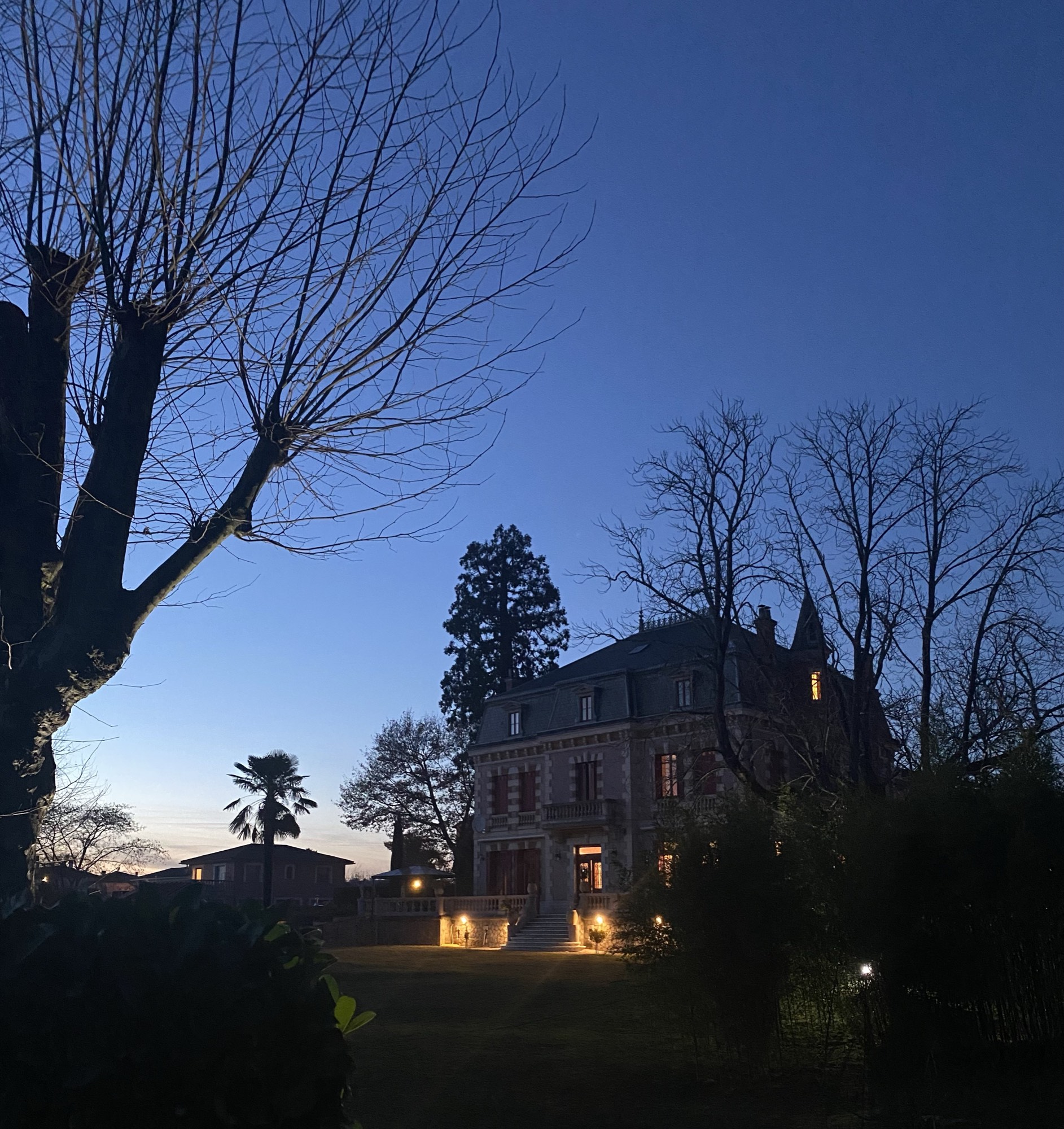 The château at dusk, its windows lit, beneath a deep blue sky with a giant sequoia and palm in the garden