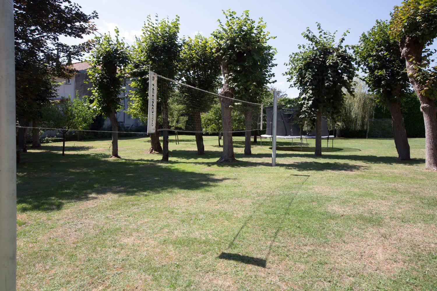 A games net and trampoline on a lawn shaded by a row of trees