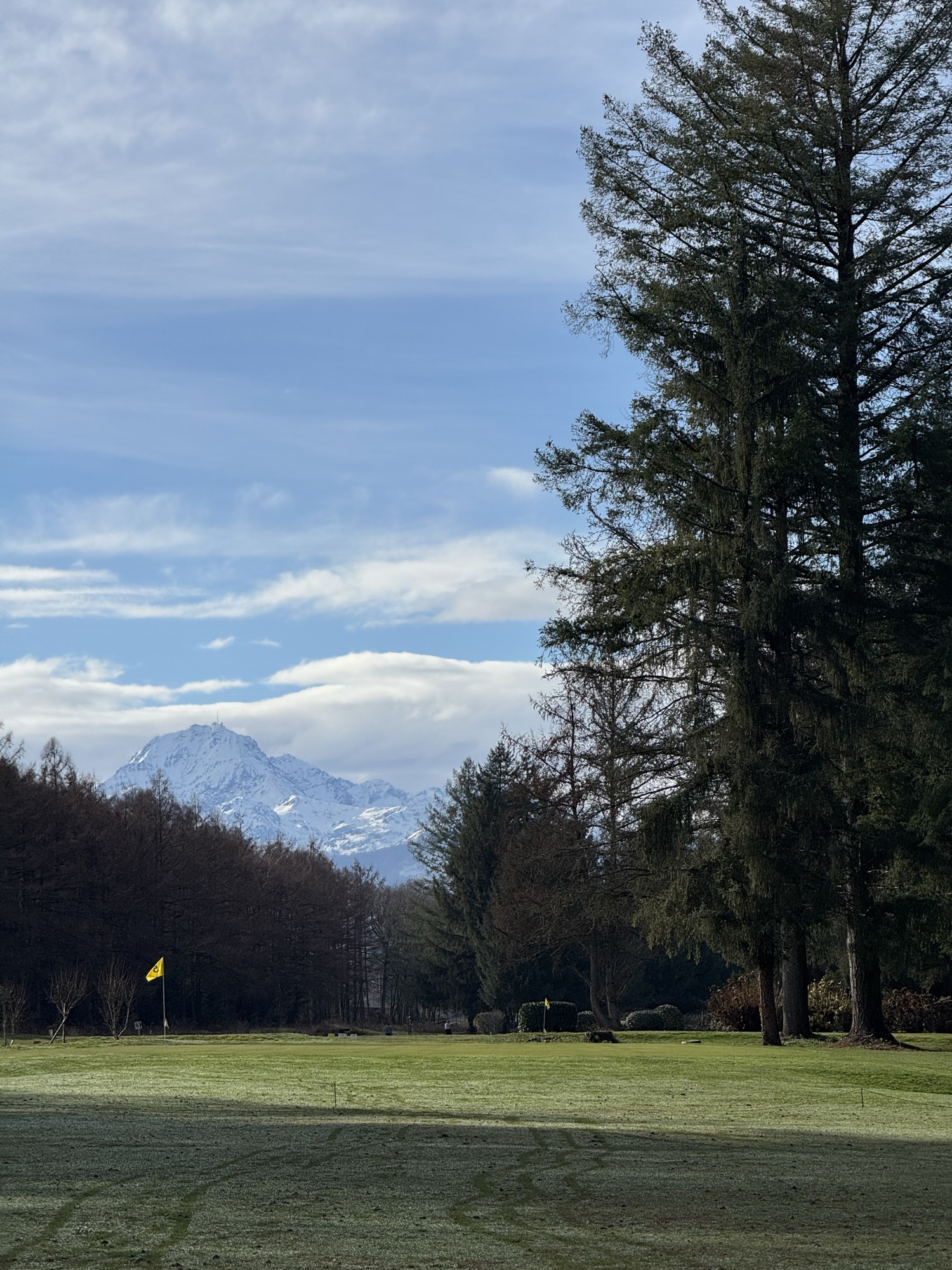 A golf green lined with tall pines beneath a snow-capped peak